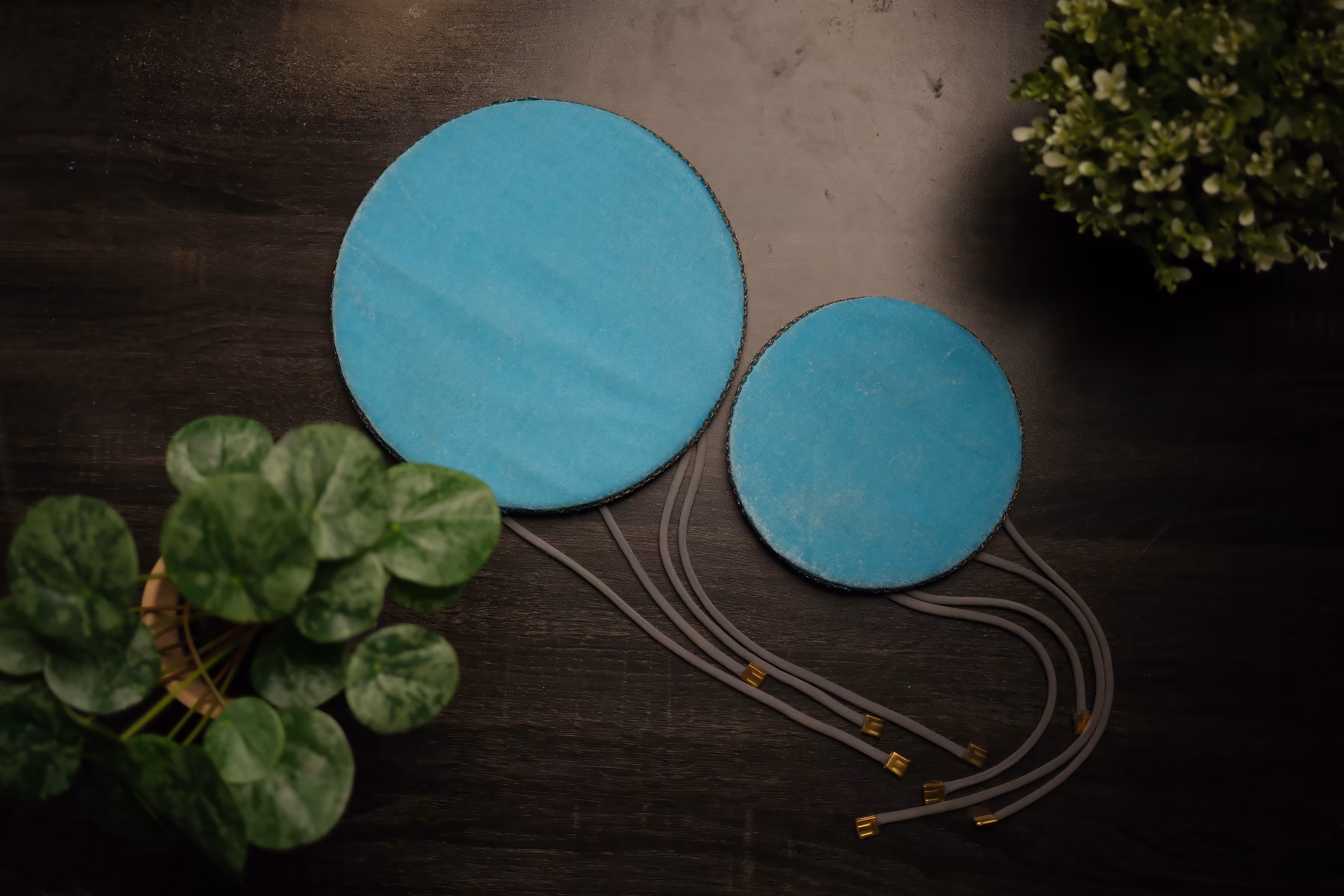 Tabla covers to protect instruments for MGSV learners in BC